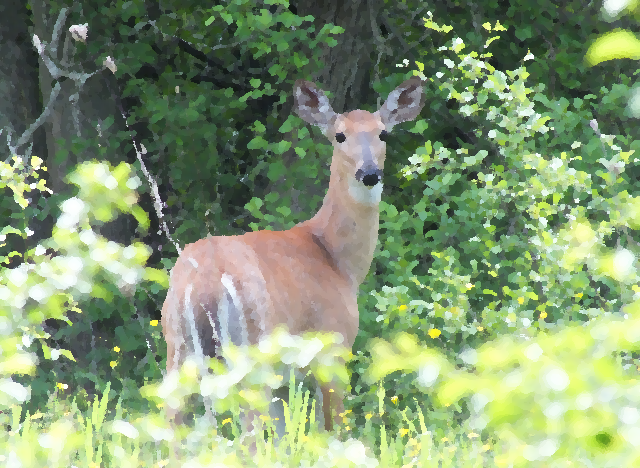 Digital oil painting of a deer.