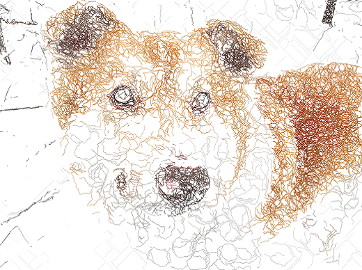 Scribble line drawing of my dog.