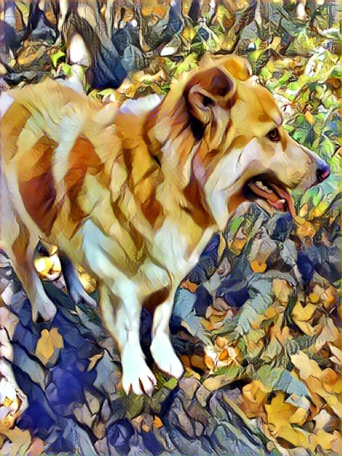 Photo of my husky dog standing on a log turned into a painting using AI style transfer. It is an artistic copy of a picture I took with my digital camera.
