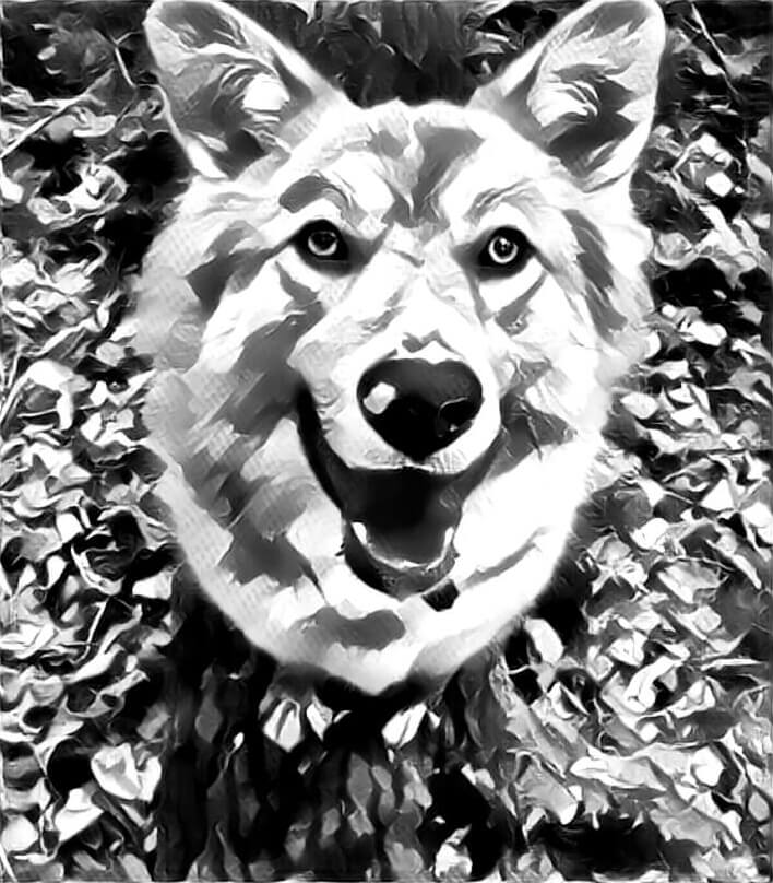 Photo to black and white drawing of my dog. Used AI style transfer and a grayscale filter to make it look more like a handmade drawing.