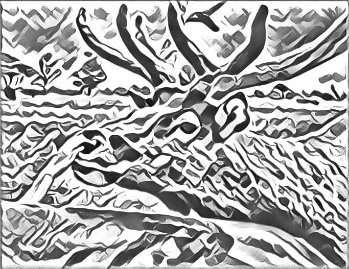 Drawing of a deer beside a car and a person's arm reaching out towards it.