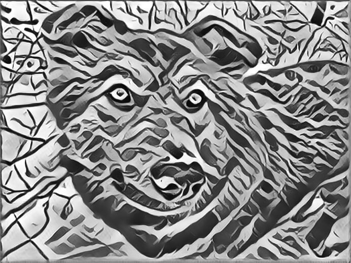 Abstract drawing of my dog.
