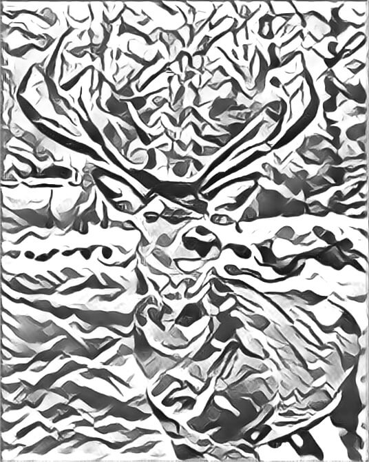 Photograph of an elk in snow, converted into a semi abstract drawing.