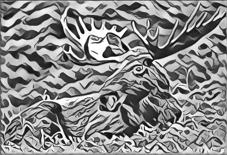 Semi abstract drawing of a moose lying in grass