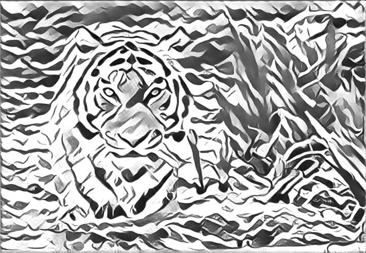 Photo of a tiger in water turned into an abstract drawing.