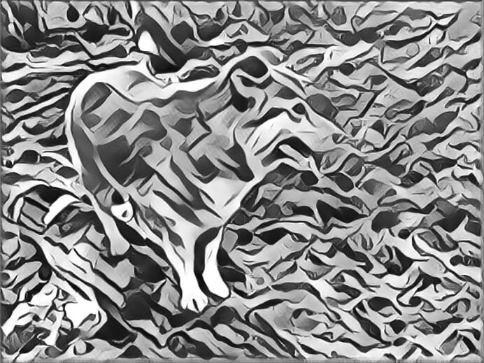 Photo of my dog standing on a log turned into a drawing.
