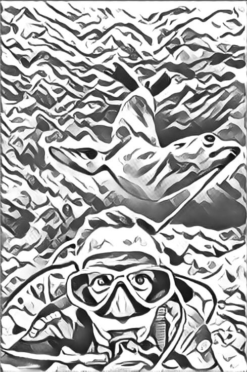 Drawing of a scuba diver with a seal behind him.