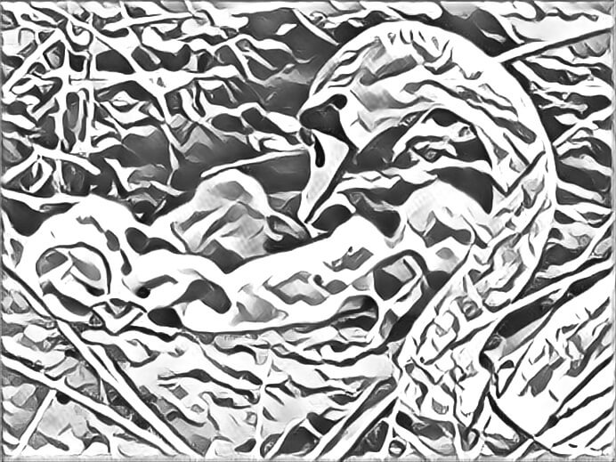 Abstract drawing of a swan with babies.