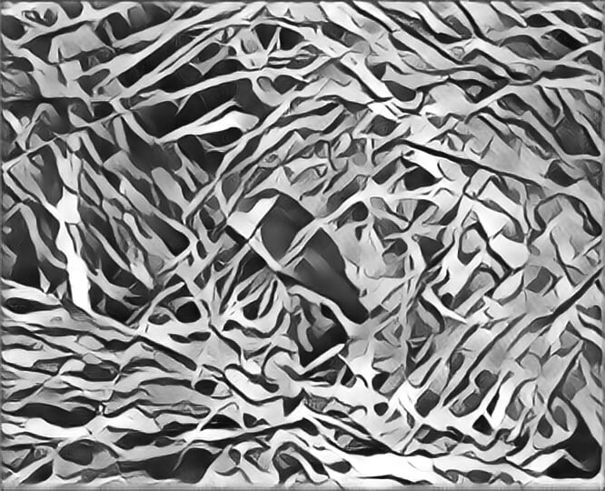 Abstract drawing of a great blue heron, from a photo.