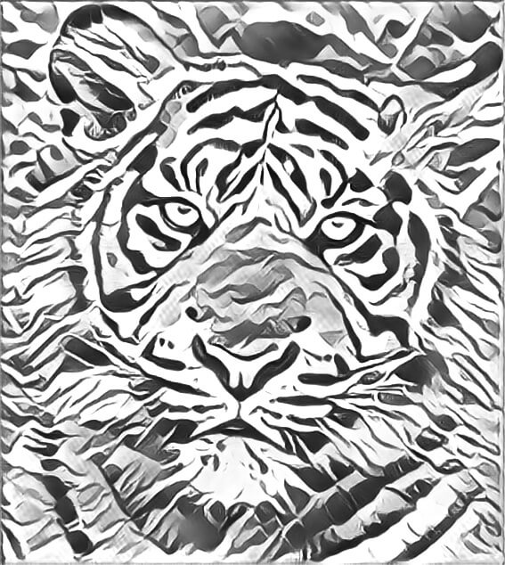 Photograph of a tigers face converted into a grayscale drawing.