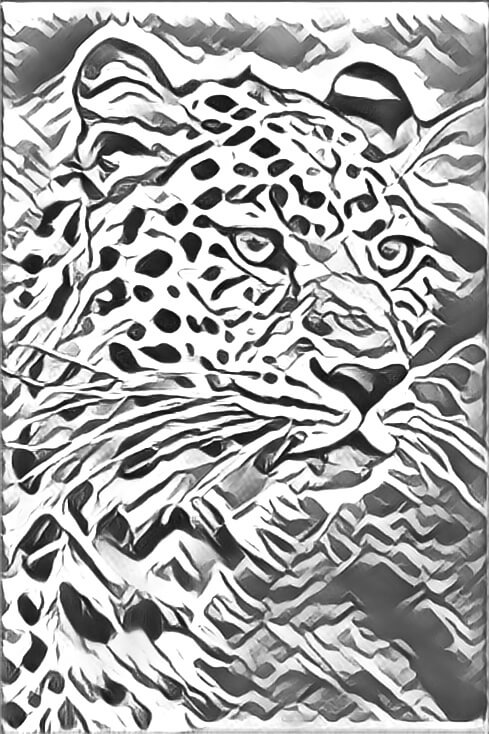 Leopard drawing, showing a close-up of its face.