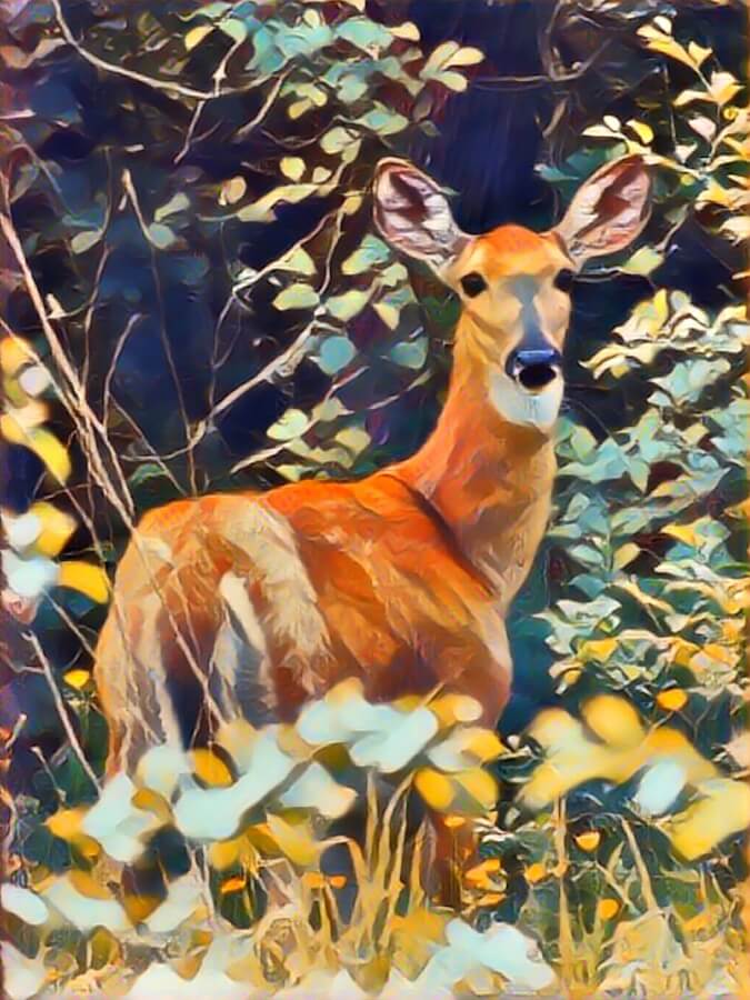 Photo of a deer standing near trees, converted to a realistic painting. Reducing the realism gave me an artistic copy. Created the effect using a photo to AI art generator.