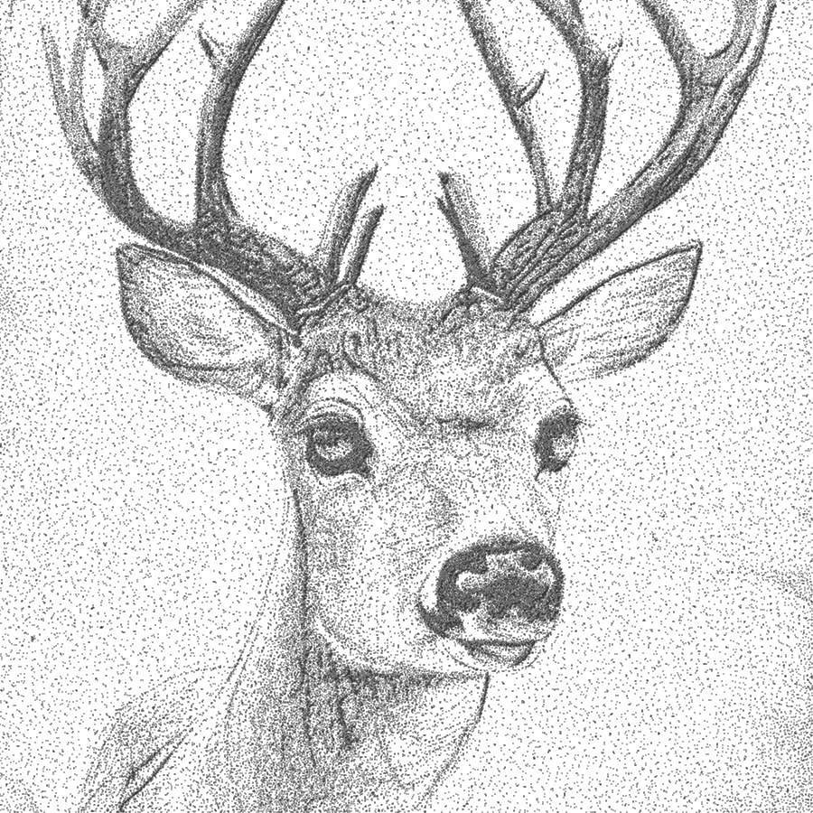 Black and white dot drawing of a deer, face and antlers.