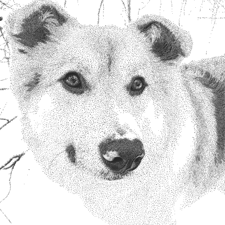 Dot drawing of a dog.