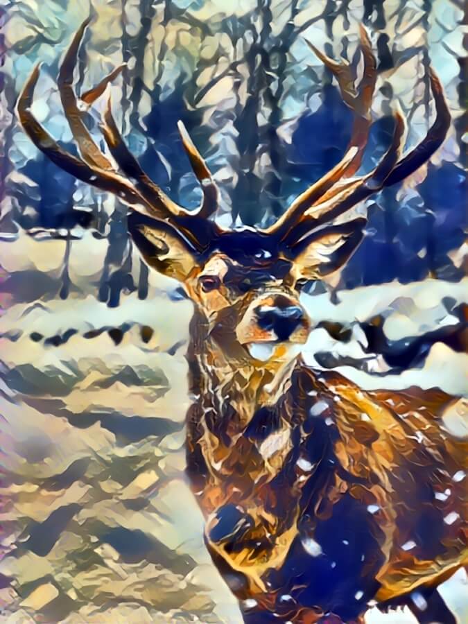 Used my picture to AI art app to generate a realistic painting of an elk in front of some trees while is was snowing.