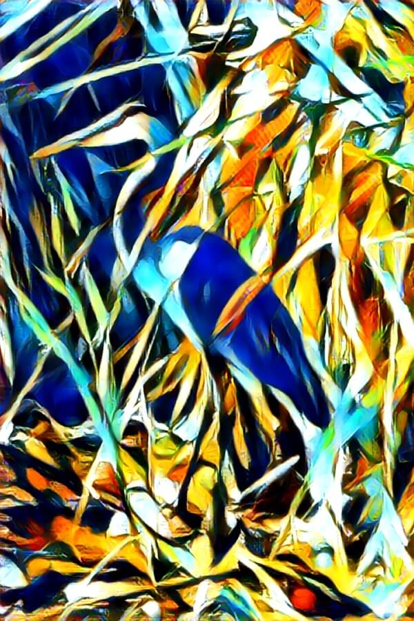 Abstract art from a photo of a great blue heron standing in water, near bullrushes. Used AI style transfer.