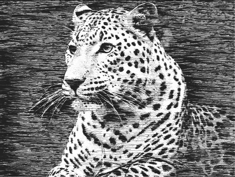 Black and white drawing of a leopard using horizontal lines.