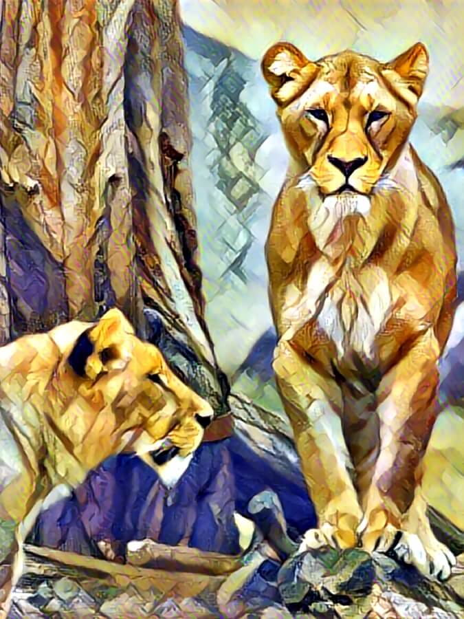 Lion photo to realistic painting. Transfered color and patterns from a style image onto the subject image to create an artistic copy.