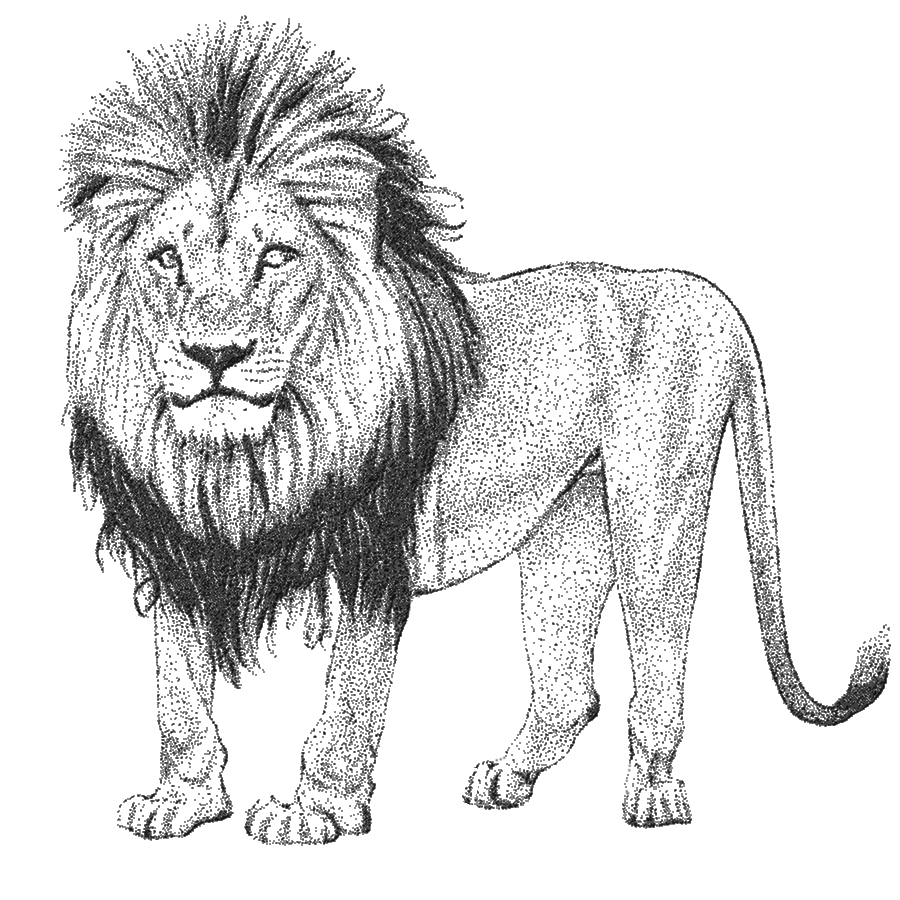 Lion sketch drawing using dots.