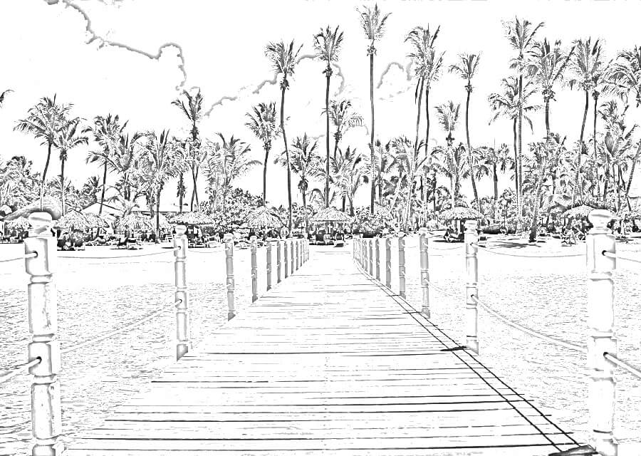 Camera picture to sketch. View of palm trees on a beach from a dock.