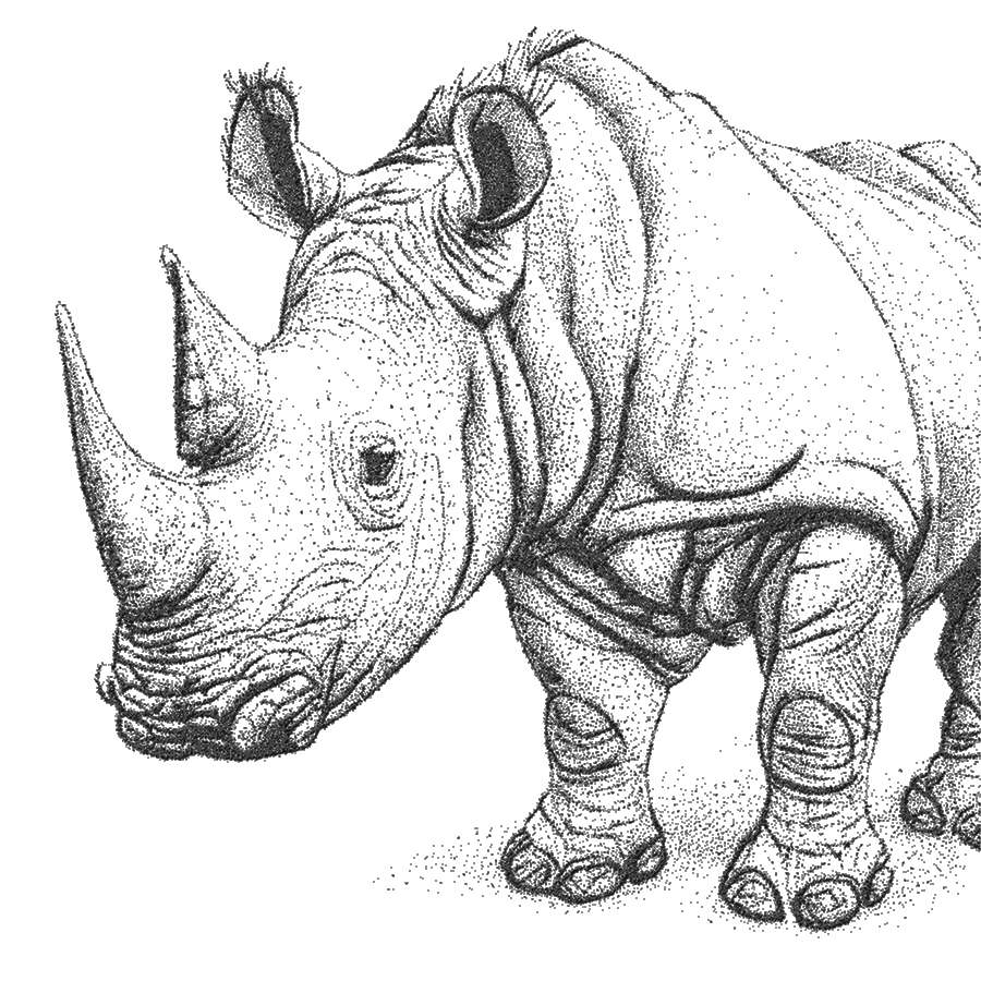 Rhino sketch made with dots.