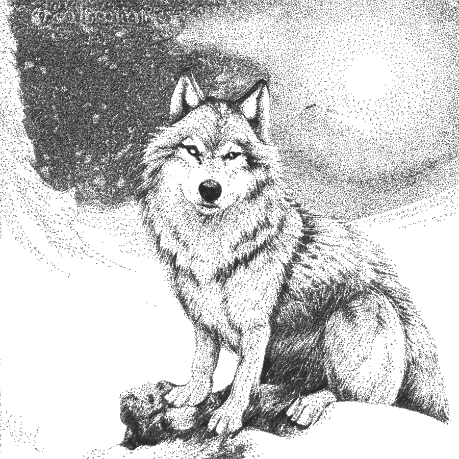 Stippling dot art of a wolf.