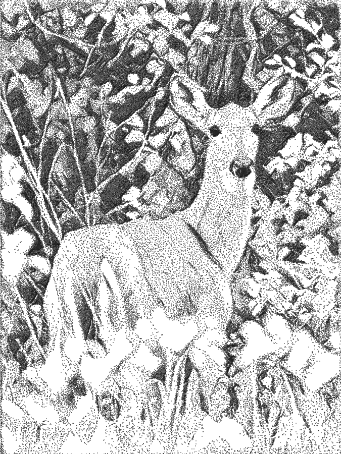 Deer in the woods, black and white dot art.