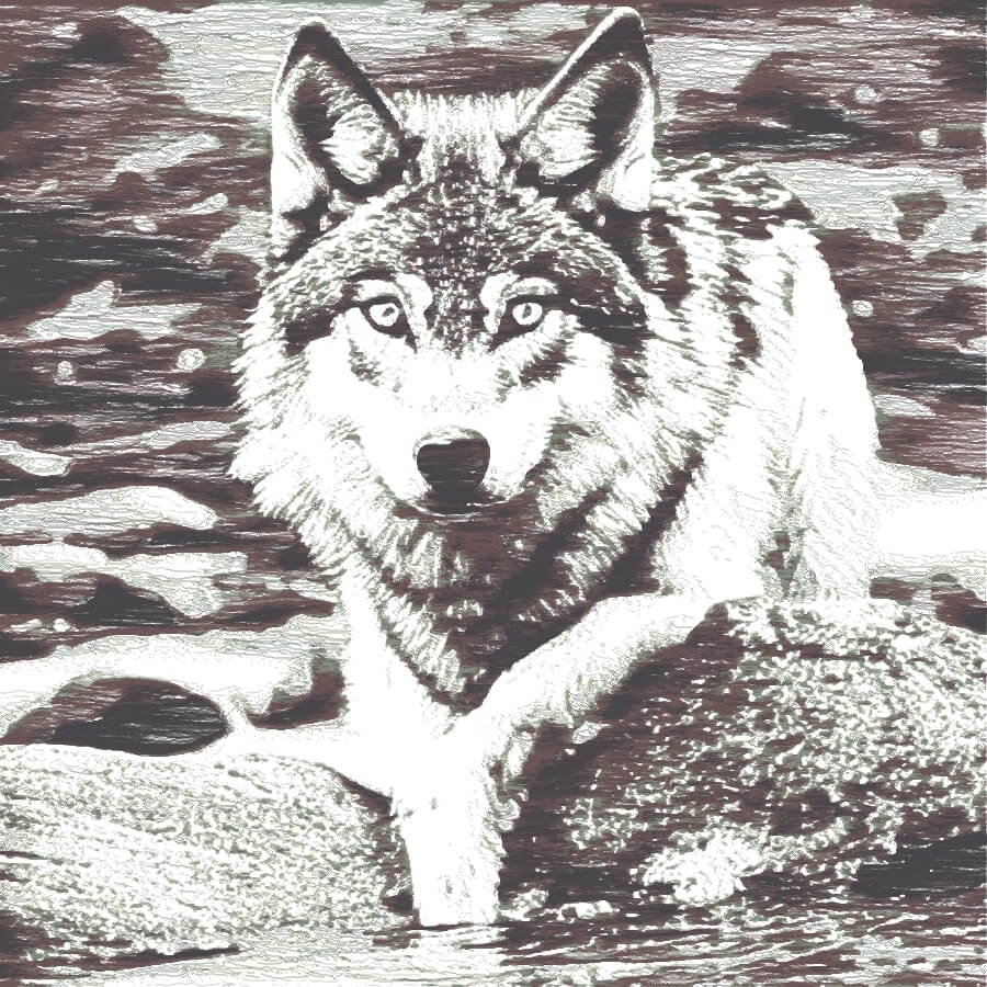 Black and white drawing of a wolf laying down near a stream.