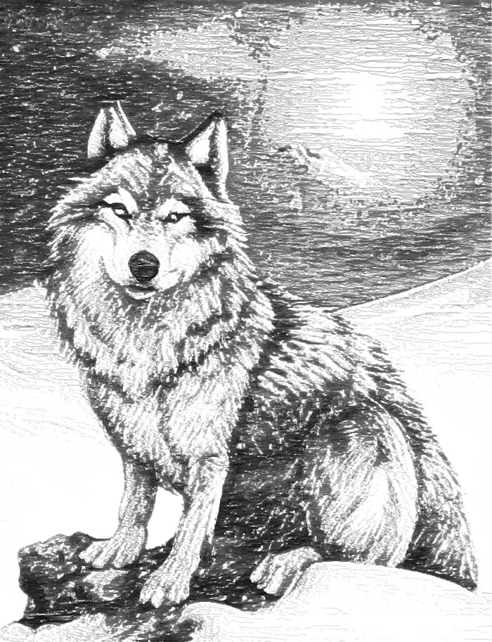 Line art of a wolf, with the moon in the background.