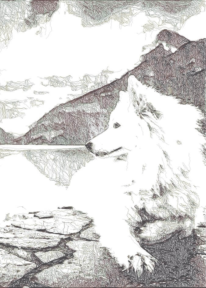 Drawing of a wolf laying down near a lake.