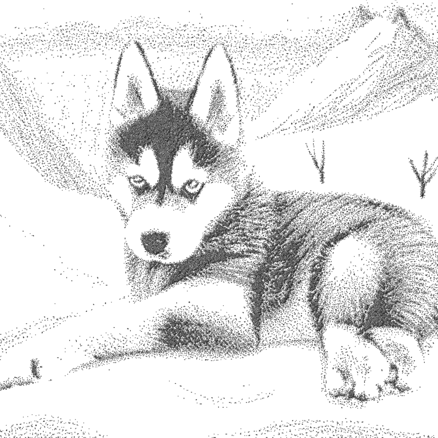 Baby wolf sketch.