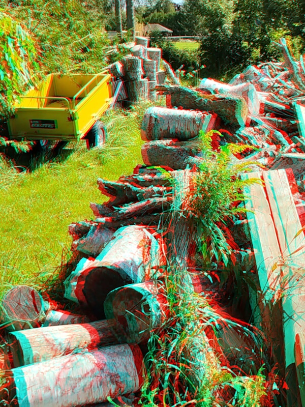 Photograph of a woodpile in my backyard. When viewed through a pair of anaglyph glasses it contains the illusion of realistic depth.