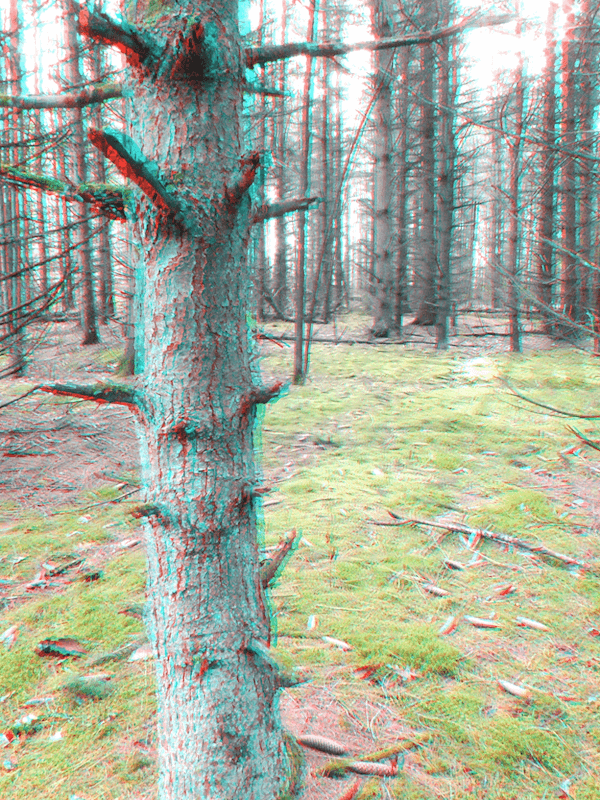 While wearing 3D anaglyph glasses the front tree appears to be outside of your screen because it contains the illusion of depth.